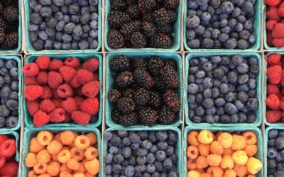 Berries organized in containers