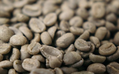 Pile of coffee beans